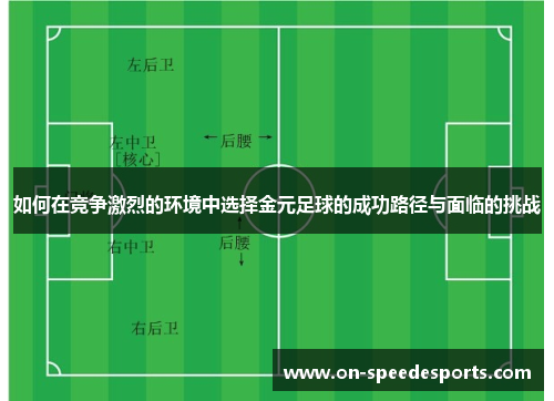 如何在竞争激烈的环境中选择金元足球的成功路径与面临的挑战