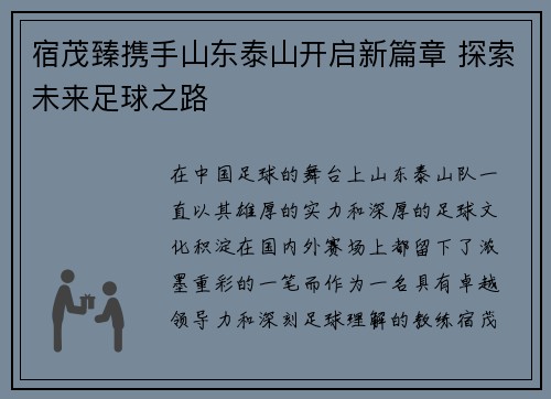 宿茂臻携手山东泰山开启新篇章 探索未来足球之路