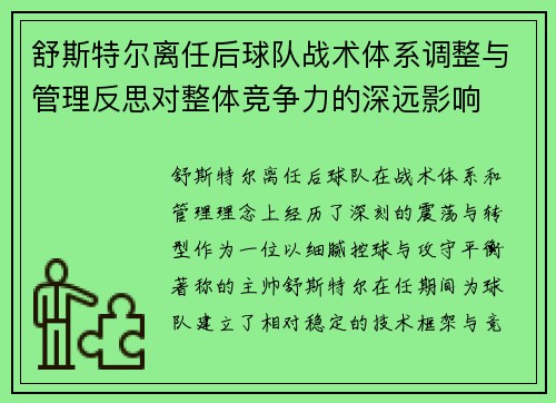 舒斯特尔离任后球队战术体系调整与管理反思对整体竞争力的深远影响